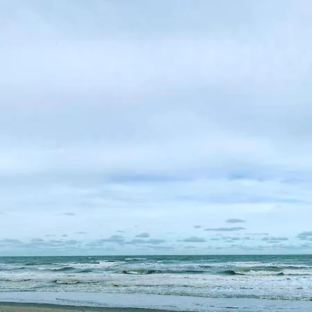 Nereiden A 176 With A View Of The Dunes * Nieuwpoort