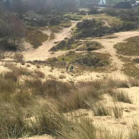 Nereiden A 176 With A View Of The Dunes *